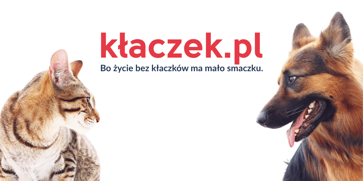 sklep zoologiczny kłaczek.pl
