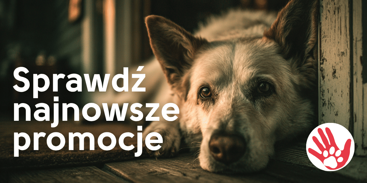 sklep zoologiczny promocje